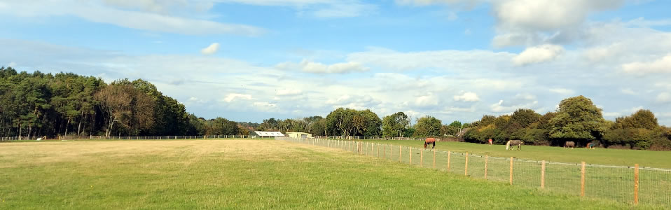 A view accross the land to the three cornered shaw stables